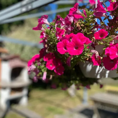 Am Franziskanergarten Bad Tölz