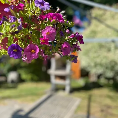 Apartman Am Franziskanergarten