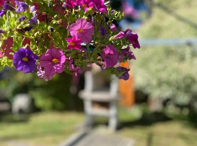 Appartement Am Franziskanergarten